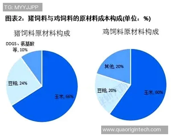 国外购买足球球星卡的价格分析与市场趋势探讨
